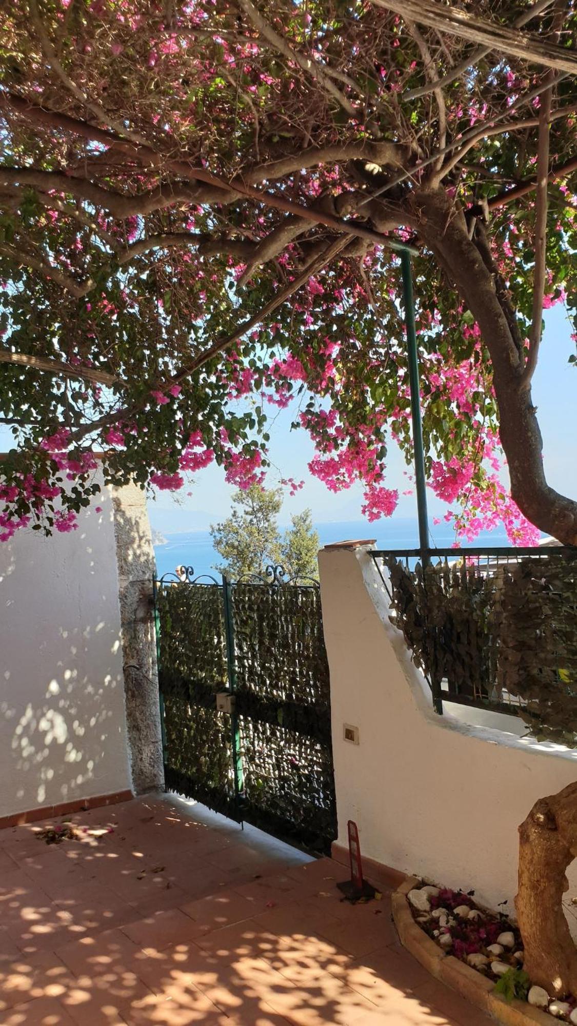 Villa Grace Amalfi Seaview Экстерьер фото