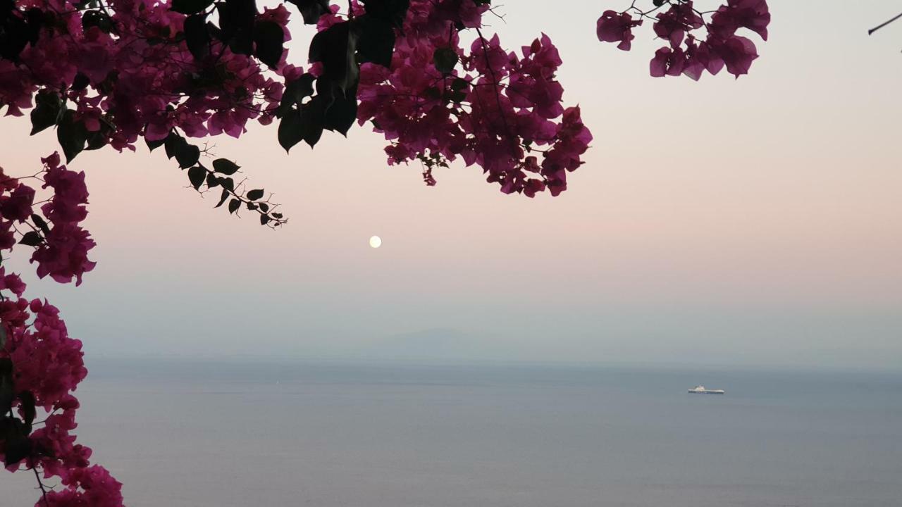 Villa Grace Amalfi Seaview Экстерьер фото